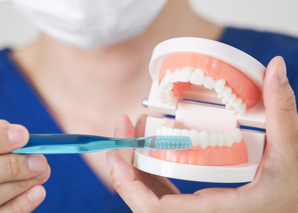 ブラッシング指導