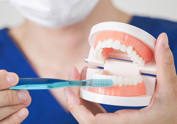 ブラッシング指導